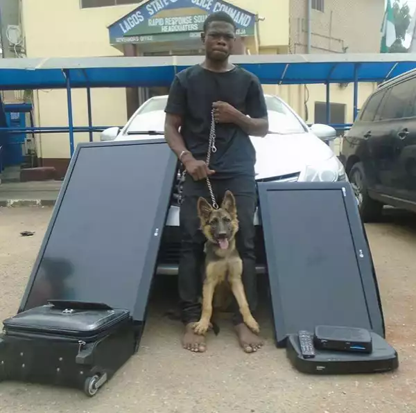 Driver Gives Shocking Reason Why He Stole His Ex-employer’s Properties, Including His Dog (Photo)